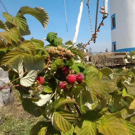 Tatil Evi Moinho Das Carrascas